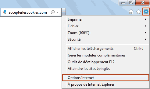 Internet Explorer parámetros
